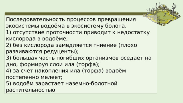 Последовательность процессов превращения экосистемы водоёма в экосистему болота. 1) отсутствие проточности приводит к недостатку кислорода в водоёме;  2) без кислорода замедляется гниение (плохо развиваются редуценты);  3) большая часть погибших организмов оседает на дно, формируя слои ила (торфа);  4) за счет накопления ила (торфа) водоём постепенно мелеет;  5) водоём зарастает наземно-болотной растительностью 