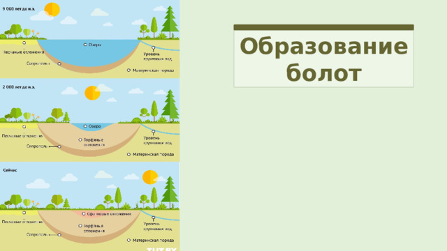 Образование болот 