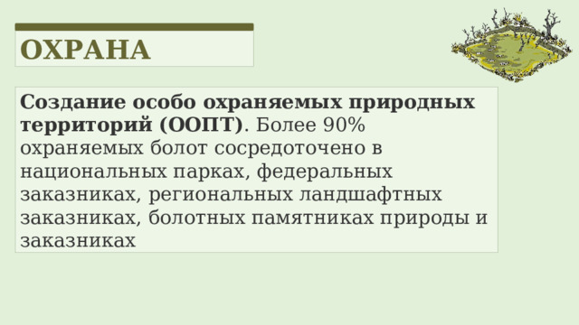 ОХРАНА Создание особо охраняемых природных территорий (ООПТ) . Более 90% охраняемых болот сосредоточено в национальных парках, федеральных заказниках, региональных ландшафтных заказниках, болотных памятниках природы и заказниках 