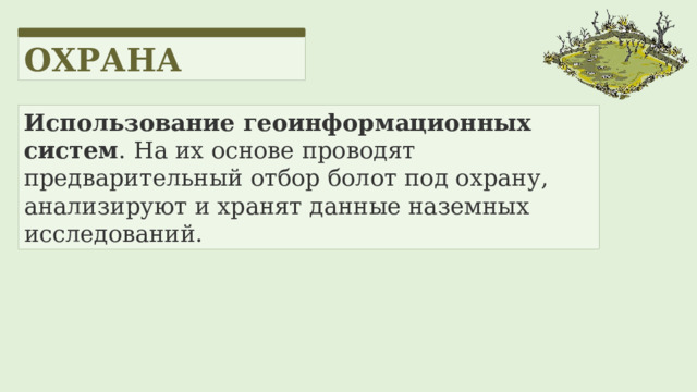 ОХРАНА Использование геоинформационных систем . На их основе проводят предварительный отбор болот под охрану, анализируют и хранят данные наземных исследований.   