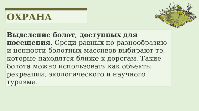 ОХРАНА Выделение болот, доступных для посещения . Среди равных по разнообразию и ценности болотных массивов выбирают те, которые находятся ближе к дорогам. Такие болота можно использовать как объекты рекреации, экологического и научного туризма.  