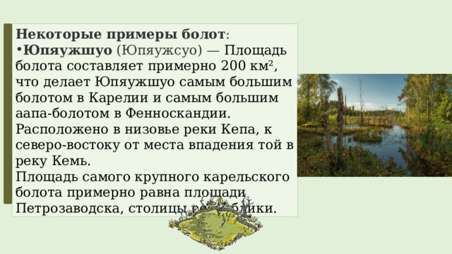 Некоторые примеры болот : Юпяужшуо  (Юпяужсуо) — Площадь болота составляет примерно 200 км², что делает Юпяужшуо самым большим болотом в Карелии и самым большим аапа-болотом в Фенноскандии. Расположено в низовье реки Кепа, к северо-востоку от места впадения той в реку Кемь.  Площадь самого крупного карельского болота примерно равна площади Петрозаводска, столицы республики. 