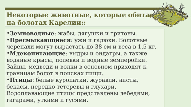 Некоторые животные, которые обитают на болотах Карелии:: Земноводные : жабы, лягушки и тритоны. Пресмыкающиеся : ужи и гадюки. Болотные черепахи могут вырастать до 38 см и веса в 1,5 кг. Млекопитающие : выдры и ондатры, а также водяные крысы, полевки и водные землеройки. Зайцы, медведи и волки в основном приходят к границам болот в поисках пищи. Птицы : белые куропатки, журавли, аисты, бекасы, нередко тетеревы и глухари. Водоплавающие птицы представлены лебедями, гагарами, утками и гусями. 