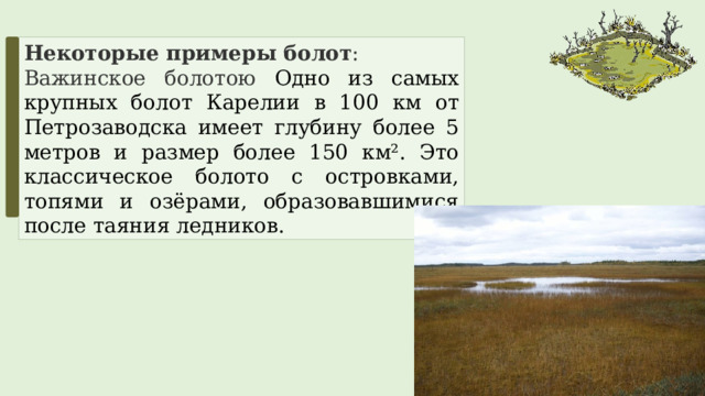 Некоторые примеры болот : Важинское болотою Одно из самых крупных болот Карелии в 100 км от Петрозаводска имеет глубину более 5 метров и размер более 150 км². Это классическое болото с островками, топями и озёрами, образовавшимися после таяния ледников. 