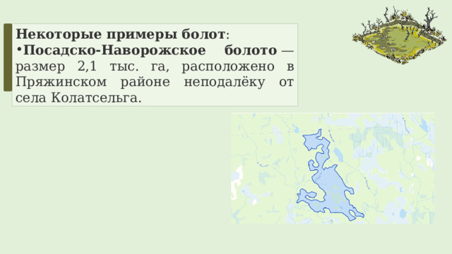 Некоторые примеры болот : Посадско-Наворожское болото  — размер 2,1 тыс. га, расположено в Пряжинском районе неподалёку от села Колатсельга. 
