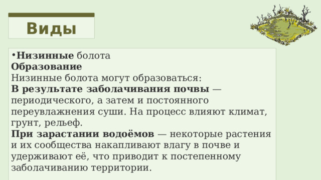 Виды Низинные  болота Образование Низинные болота могут образоваться: В результате заболачивания почвы  — периодического, а затем и постоянного переувлажнения суши. На процесс влияют климат, грунт, рельеф.  При зарастании водоёмов  — некоторые растения и их сообщества накапливают влагу в почве и удерживают её, что приводит к постепенному заболачиванию территории. 