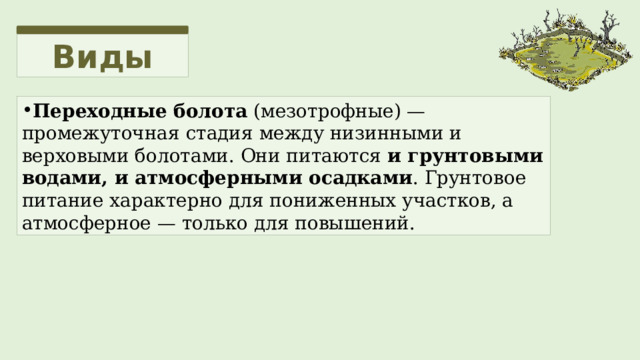 Виды Переходные болота  (мезотрофные) — промежуточная стадия между низинными и верховыми болотами. Они питаются  и грунтовыми водами, и атмосферными осадками . Грунтовое питание характерно для пониженных участков, а атмосферное — только для повышений. 