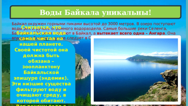 Воды Байкала уникальны! Байкал окружен горными пиками высотой до 3000 метров. В озеро поступают воды рек и ручьев огромного водораздела. Самые большие реки Селенга, Баргузин. 333 реки впадают в Байкал, а вытекает всего одна – Ангара . Она впадает в Енисей и далее следует в Северный Ледовитый океан. Считается, что байкальская вода самая чистая на нашей планете. Своей чистотой она должна быть обязана – зоопланктону Байкальской эпишуре (эндемик). Эти низшие существа фильтруют воду и очищают среду, в которой обитают. Вот почему вода в Байкале особенно мягкая.   