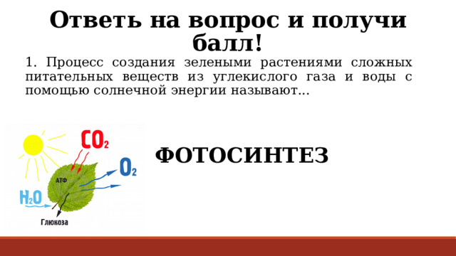 Ответь на вопрос и получи балл! 1. Процесс создания зелеными растениями сложных питательных веществ из углекислого газа и воды с помощью солнечной энергии называют...  ФОТОСИНТЕЗ 