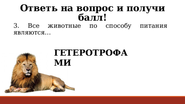 Ответь на вопрос и получи балл! 3. Все животные по способу питания являются… ГЕТЕРОТРОФАМИ 