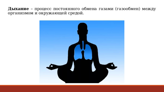 Дыхание – процесс постоянного обмена газами (газообмен) между организмом и окружающей средой.  