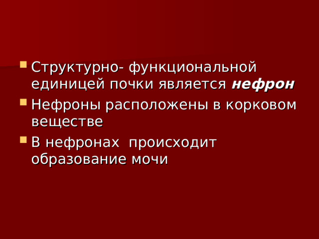 нефрон 