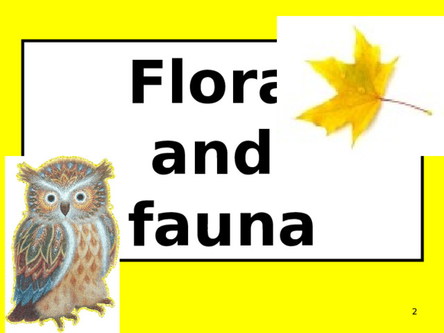 Flora  and  fauna  