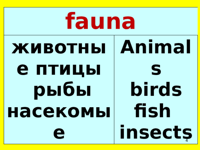 fauna животные птицы  рыбы насекомые Animals  birds fish insects  