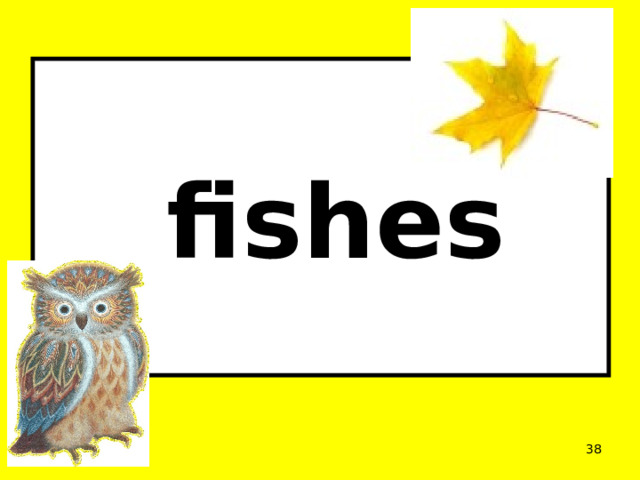     fishes       