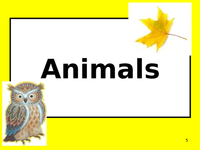Animals  