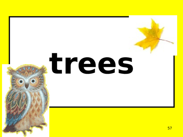    trees        