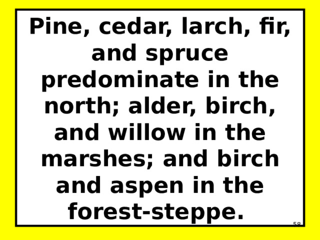 Pine, cedar, larch, fir, and spruce predominate in the north; alder, birch, and willow in the marshes; and birch and aspen in the forest-steppe.  