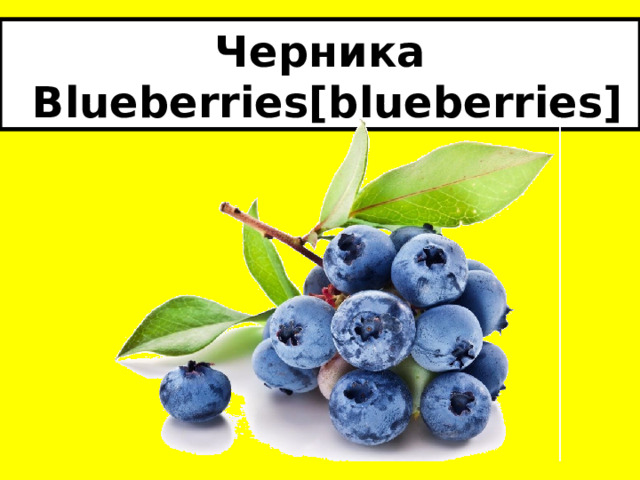Черника  Blueberries[blueberries] 