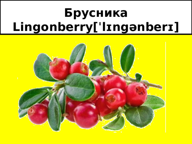 Брусника  Lingonberry[ˈlɪngənberɪ] 