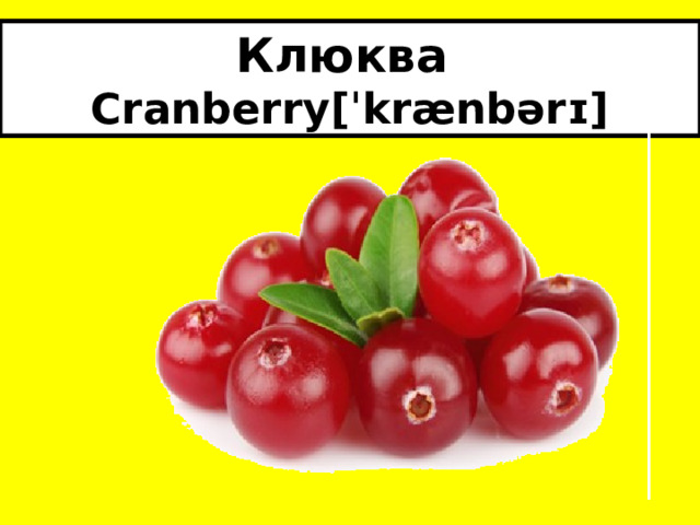 Клюква  Cranberry[ˈkrænbərɪ] 