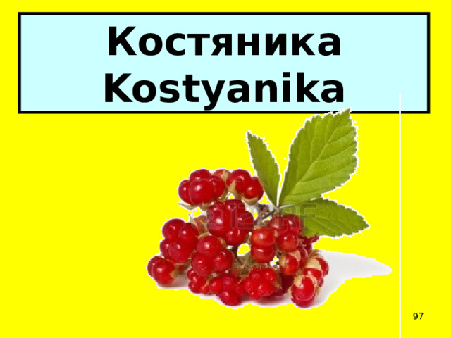 Костяника  Kostyanika  