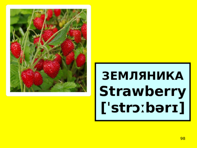 ЗЕМЛЯНИКА  Strawberry  [ˈstrɔːbərɪ]  
