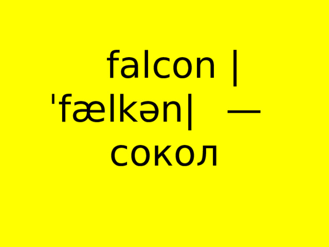   falcon |ˈfælkən|  — сокол 