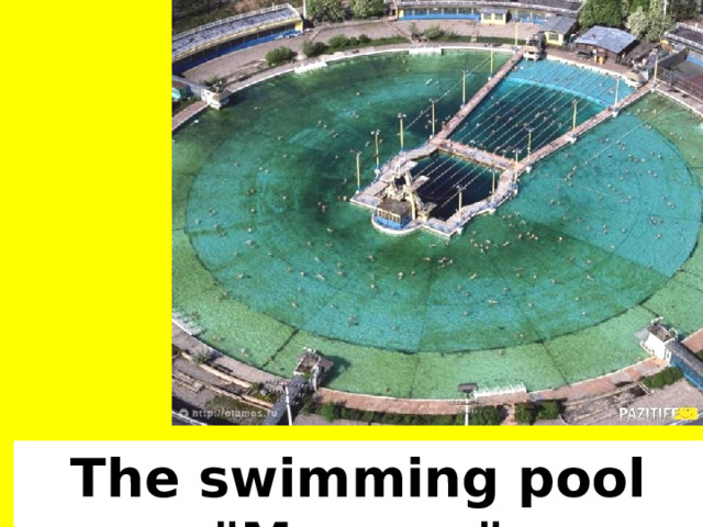 The swimming pool 