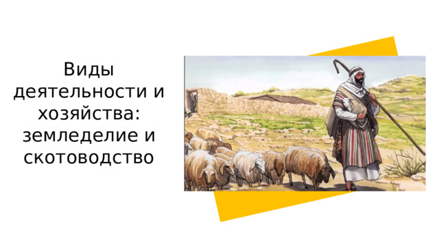Виды деятельности и хозяйства: земледелие и скотоводство 