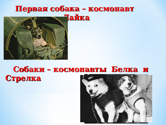 Первая собака – космонавт Лайка   Собаки – космонавты  Белка и Стрелка  