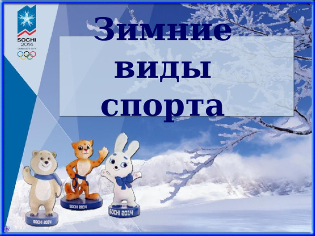Зимние виды спорта   