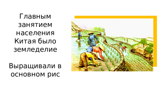 Главным занятием населения Китая было земледелие  Выращивали в основном рис  