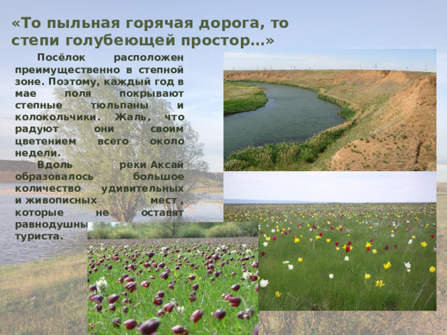 «То пыльная горячая дорога, то степи голубеющей простор…» Посёлок расположен преимущественно в степной зоне. Поэтому, каждый год в мае поля покрывают степные тюльпаны и колокольчики. Жаль, что радуют они своим цветением всего около недели. Вдоль реки Аксай образовалось большое количество удивительных и живописных мест , которые не оставят равнодушными ни одного туриста. 