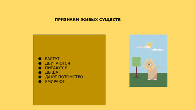 ПРИЗНАКИ ЖИВЫХ СУЩЕСТВ РАСТУТ ДВИГАЮТСЯ ПИТАЮТСЯ ДЫШАТ ДАЮТ ПОТОМСТВО УМИРАЮТ ДВИГАЮТСЯ  РАСТУТ  ПИТАЮТСЯ  ПРИНОСЯТ ПОТОМСТВО  ДАШИТ  УМИРАЕТ 