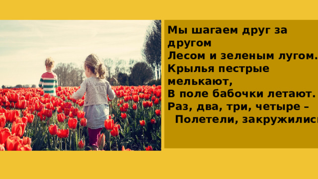 Мы шагаем друг за другом Лесом и зеленым лугом. Крылья пестрые мелькают, В поле бабочки летают. Раз, два, три, четыре –  Полетели, закружились 