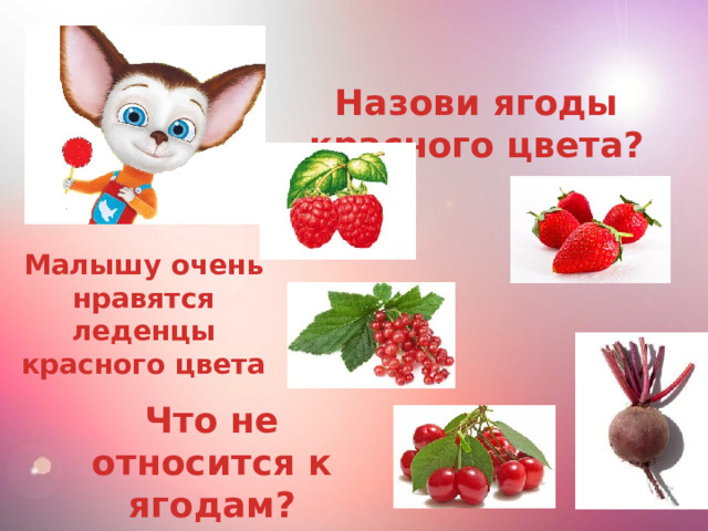 Назови ягоды красного цвета? Малышу очень нравятся леденцы красного цвета Что не относится к ягодам? 