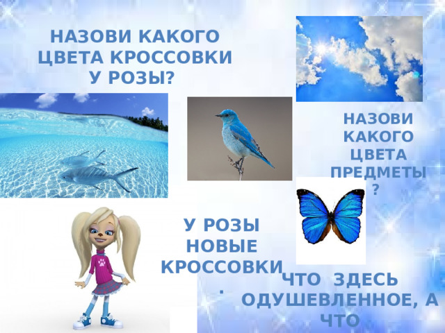 Назови какого цвета кроссовки у Розы? Назови какого цвета предметы? У Розы новые кроссовки. Что здесь одушевленное, а что неодушевленное? 