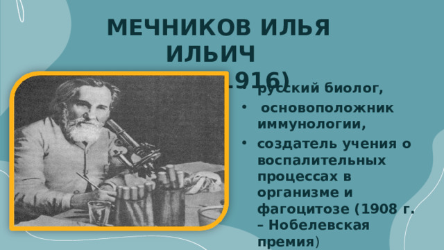   МЕЧНИКОВ И ЛЬЯ И ЛЬИЧ   (1845-1916) р усский биолог ,  основоположник иммунологии, создатель учения о воспалительных процессах в организме и фагоцитозе (1908 г. – Нобелевская премия ) 