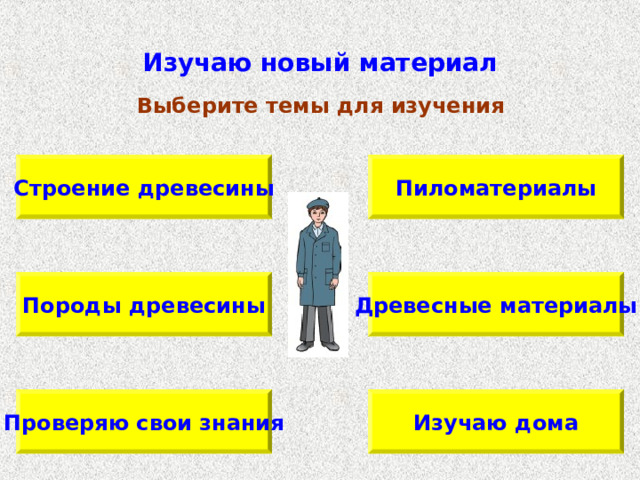 Изучаю новый материал Выберите темы для изучения Пиломатериалы Строение древесины Древесные материалы Породы древесины Проверяю свои знания Изучаю дома 