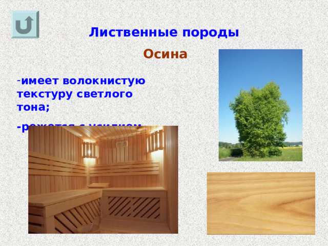 Лиственные породы Осина имеет волокнистую текстуру светлого тона; -режется с усилием. 