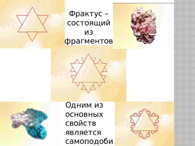 Фрактус – состоящий из фрагментов Одним из основных свойств является самоподобие 