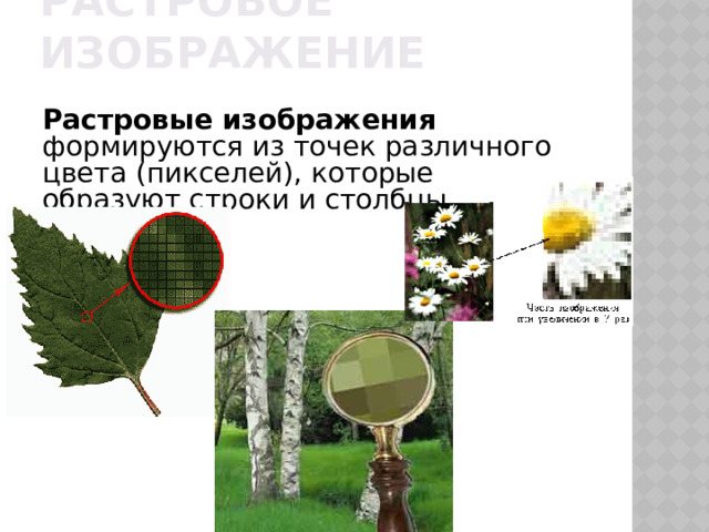 Растровое изображение  Растровые изображения формируются из точек различного цвета (пикселей), которые образуют строки и столбцы. 