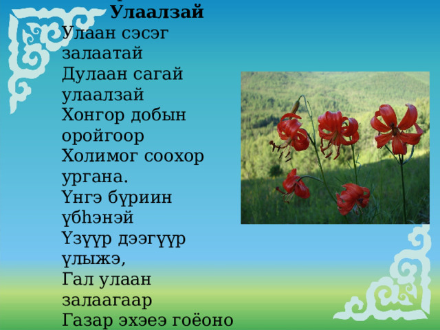  2 бүлэг  Улаалзай Улаан сэсэг залаатай Дулаан сагай улаалзай Хонгор добын оройгоор Холимог соохор ургана. Yнгэ бүриин үбhэнэй Yзүүр дээгүүр үлыжэ, Гал улаан залаагаар Газар эхэеэ гоёоно      