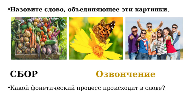 Назовите слово, объединяющее эти картинки .  СБОР  Озвончение Какой фонетический процесс происходит в слове? 
