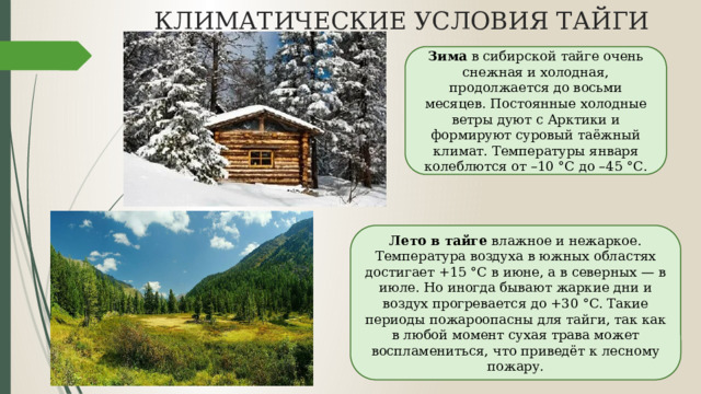 КЛИМАТИЧЕСКИЕ УСЛОВИЯ ТАЙГИ Зима в сибирской тайге очень снежная и холодная, продолжается до восьми месяцев. Постоянные холодные ветры дуют с Арктики и формируют суровый таёжный климат. Температуры января колеблются от –10 °С до –45 °С. Лето в тайге  влажное и нежаркое. Температура воздуха в южных областях достигает +15 °C в июне, а в северных — в июле. Но иногда бывают жаркие дни и воздух прогревается до +30 °C. Такие периоды пожароопасны для тайги, так как в любой момент сухая трава может воспламениться, что приведёт к лесному пожару. 