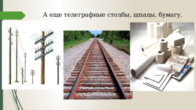 А еще телеграфные столбы, шпалы, бумагу.   