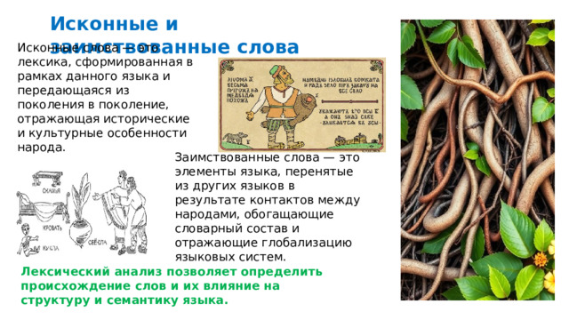  Исконные и заимствованные слова Исконные слова — это лексика, сформированная в рамках данного языка и передающаяся из поколения в поколение, отражающая исторические и культурные особенности народа. Заимствованные слова — это элементы языка, перенятые из других языков в результате контактов между народами, обогащающие словарный состав и отражающие глобализацию языковых систем. Лексический анализ позволяет определить происхождение слов и их влияние на структуру и семантику языка. 