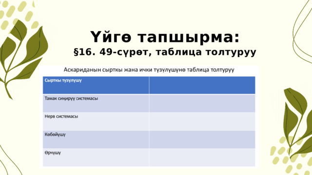 Үйгө тапшырма: §16. 49-сүрөт, таблица толтуруу 
