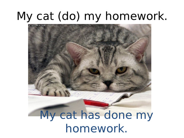 My cat (do) my homework. My cat has done my homework. 